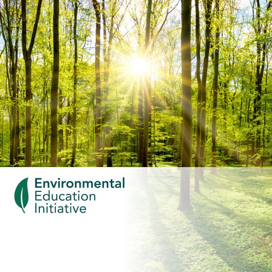 CEP Image Card 560x560 EEI 2 jpg