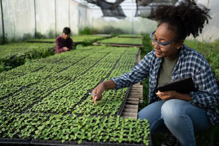 Girl Checking Hydroponic Plants