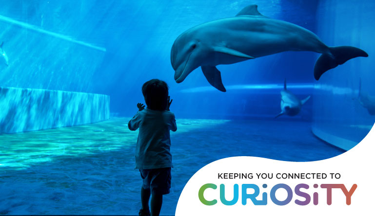 v1 Curiosity Press Release Imgs 100620 Curiosity 8